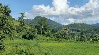 Loojmem Nplua nuj 26-2-2025