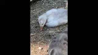 Растём и хорошеем🫶