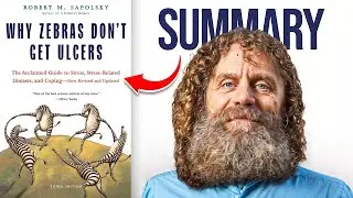 Why Zebras Don’t Get Ulcers (Summary) — Cure Stress by Understanding How Your Body Works 💆🏼‍♂️