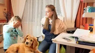 Милана мешает Лике делать уроки и что сделала Лика? Видео для детей