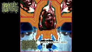 Herpatitis - Sem*n Sampler 2024 (FULL DEMO)