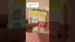 squishmallow blind bag! 