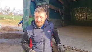 Отправка саженцев в Украину. Ноябрь 2022