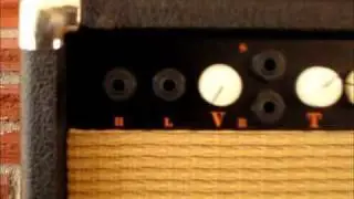 Luker Amplifiers Tiger 20 watt 12 inch Combo Guitar Amp