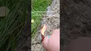 Взрыв петарды 💣‼️