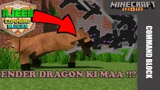 Weird Funny Block Commands in Minecraft | Crusty Crafts & God-Gamer Greacus || Minecraft India