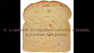 5 Gross Things Found In Food