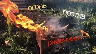 ЭКСПЕРИМЕНТ огонь против ржавчины ( чистим подковы)EXPERIMENT fire against rust
