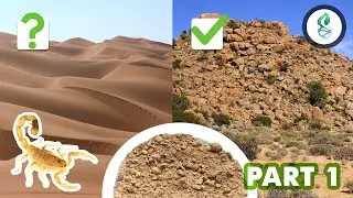 How to Make Desert Substrate - PART 1