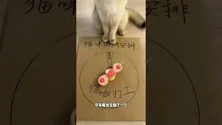 【牛奶是只猫】如何轻松给猫咪剪指甲？看这里！