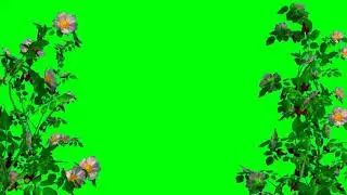 Green Screen Beautiful Flowers Tree Vfx Effects