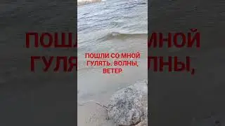 ПОШЛИ СО МНОЙ ГУЛЯТЬ. ВОЛНЫ, ВЕТЕР 