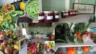 Farm Stand Tour/Veggies, Baked Goods, Jams, Flowers & Soaps!