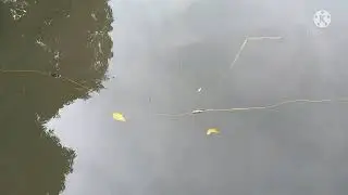 panibagong pakikipagsapalaran sa ilog,by #clarence glee tv anak pawis