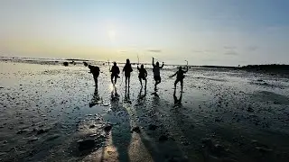 БЕЛУЖИЙ Мыс НЕРПЫ и КРАЧКИ Белое МОРЕ  Соловки ПЯТАЯ ЧАСТЬ