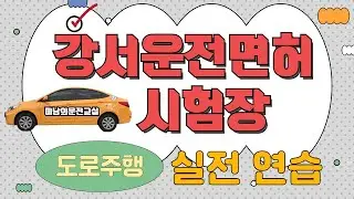 [라이브 고고씽] ♥ 강서운전면허시험장 도로주행시험 실전연습 라이브 (내일 시험이예요!)