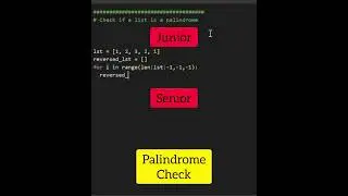 Junior Vs. Senior Python Developer 