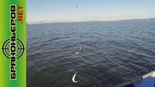 КВХ ловля окуня на отводной двойной дропшот.
