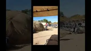 Primer día en el trabajo 4