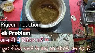 Pigeon Induction eb Problem ! Havells Induction eb Problem ! Induction stove eb error