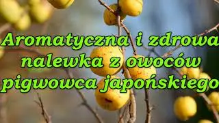 Aromatyczna i zdrowa nalewka z owoców pigwowca japońskiego.