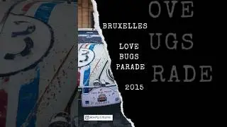 Bruxelles - Love Bugs Parade - 2015