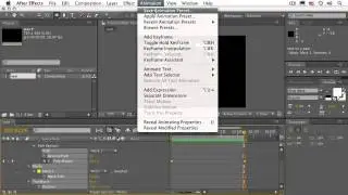 Adobe After Effects - Creating a Preset