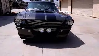 Gorgeous Eleanor GT 500