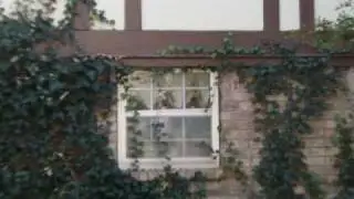Tour of Yard
