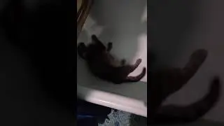 бублик и хлорка