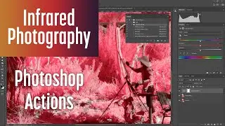 Photoshop Actions for Infrared Photography