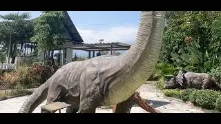 Dino Saurus
