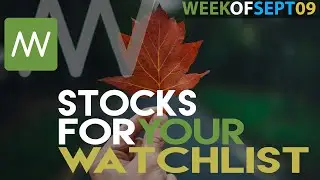 Top Stocks For This Week That You Should Have on Your Watch List! ( Week of Sept 09 )