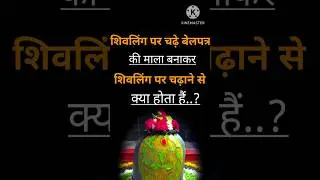 हमारा पुनर्जन्म नहीं होता शिवलिंग पर चढ़े बेलपत्र की माला बनाकर शिवलिंग पर चढ़ाने से #shortsviedo