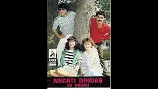 Necati Dindaş ve grubu (Sinan potbori mix 2018)