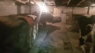 Уборка чистка сарая. В деревне выходных нету)