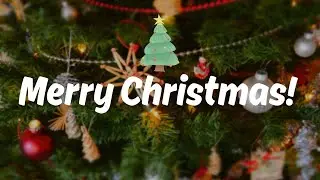 Merry Christmas and a Happy New Year 2024