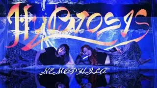 NEMOPHILA / HYPNOSIS [Official Music Video]