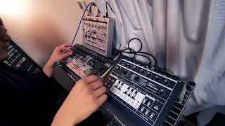 Kick.S / X1675 ( Acid )