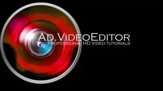 Sony Vegas Tutorial - Tracks