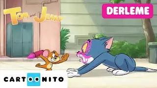 TOM VE JERRY | Nehir Kenarı Maceraları Derlemesi | 