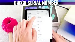 How To Check Serial Number In iPad Mini 2024
