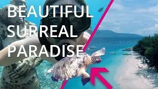 48 HOURS ON THE GILI ISLANDS - GILI T / GILI AIR (AMAZING)