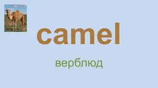 Английский язык: 1 слово за 1 минуту / English: 1 word for 1 minute (camel)