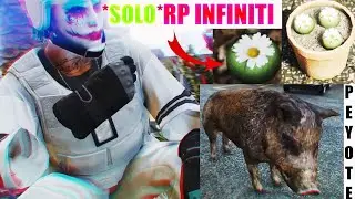 GLITCH COME FARE RP INFINITI CON IL PEYOTE - SOLO - GTA 5 ONLINE
