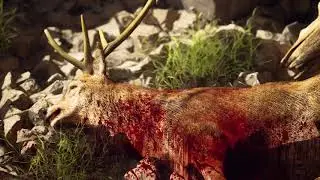 early man cave ||Unreal Engine 5 Cinematic Environment II Unreal Engine 5