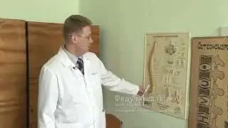 Как бороться со сколиозом?