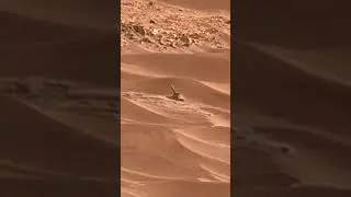 ЧТО ТО СЛЕДИТ ЗА МАРСОХОДОМ НА МАРСЕ