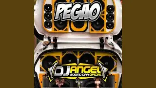 Pegao Car Audio
