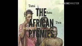 The African Pygmies